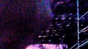 Luciano Ligabue Inizio Campovolo 2 011 Questa è la mia vita