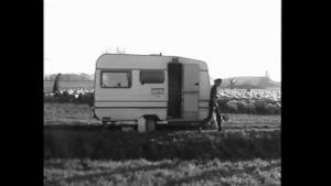 The Zen Circus - Canzone contro la natura (video ufficiale e testo)