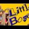 Little Boxes - Walk off the Earth cover di Malvina Reynolds