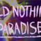 Wild Nothing: Paradise [VIDEO UFFICIALE]