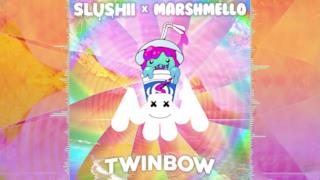 Slushii x Marshmello - Twinbow