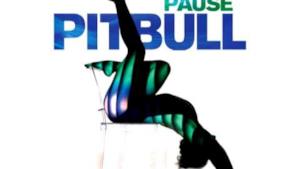 Pitbull - Pause (Video ufficiale e testo)