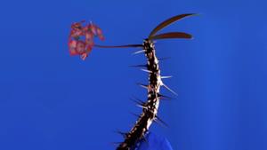 Flume - Weekend (feat. Moses Sumney) (Video ufficiale e testo)