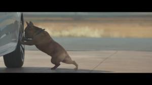 Canzone spot Citroën C3 gennaio 2015 con il cane che fa stretching