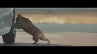Canzone spot Citroën C3 gennaio 2015 con il cane che fa stretching