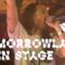 Steve Aoki - Tomorrowland 2014
