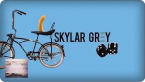 Skylar Grey ft. Eminem - C'mon Let Me Ride (Lyrics video)