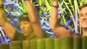 L'aftermovie dell'esibizione di Promise Land al Tomorrowland 2014