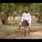 Mattafix - Living Darfur (Video ufficiale e testo)