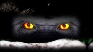 Hardwell - Police (You Ain't Ready) (Video ufficiale e testo)