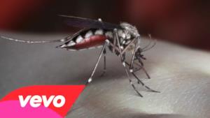 Yeah Yeah Yeahs - Mosquito (Video ufficiale e testo)