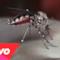 Yeah Yeah Yeahs - Mosquito (Video ufficiale e testo)