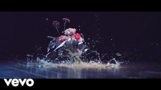 ZEDD - The Middle (Video ufficiale e testo)