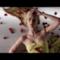 Steve Aoki - Beat Down (feat. Iggy Azalea) [Bonus Track] (Video ufficiale e testo)