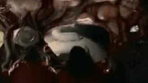 The Black Crowes - High Head Blues (Video ufficiale e testo)