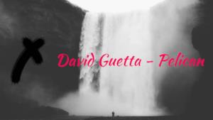 David Guetta - Pelican (Edit) (Video ufficiale e testo)
