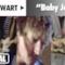 Rod Stewart - Baby Jane (Video ufficiale e testo)
