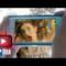 Charli XCX, il video di Famous per gli YouTube Music Awards 2015