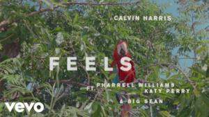 Calvin Harris - Feels (Video ufficiale e testo)