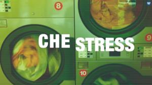 Paolo Simoni - Che stress (lyric video e testo)