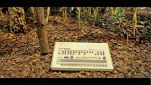 Scimmie che suonano i sintetizzatori [VIDEO]