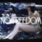 Dido - No Freedom (Nuovo singolo 2013)