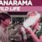 Bananarama - The Wild Life (Video ufficiale e testo)