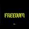 Steve Angello - Freedom (feat. Pusha T) (Video ufficiale e testo)