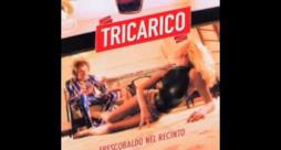 Francesco Tricarico - Cavallino (Video ufficiale e testo)
