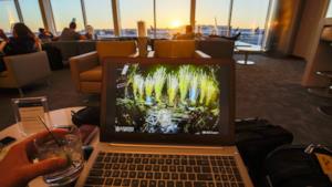 David Guetta Ultra Music Festival 2016