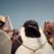 Pinguino Pino - Summer Smart testo e video ufficiale