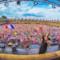 Tomorrowland Belgium 2016 | Ummet Ozcan