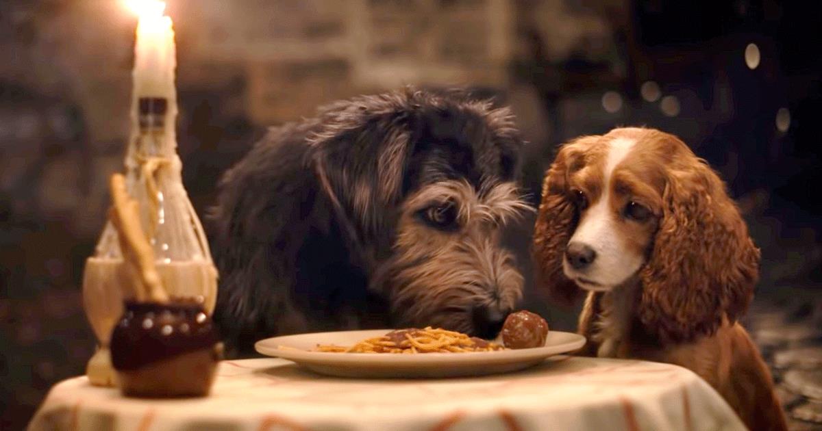 Razze Di Cani Lilli E Il Vagabondo
